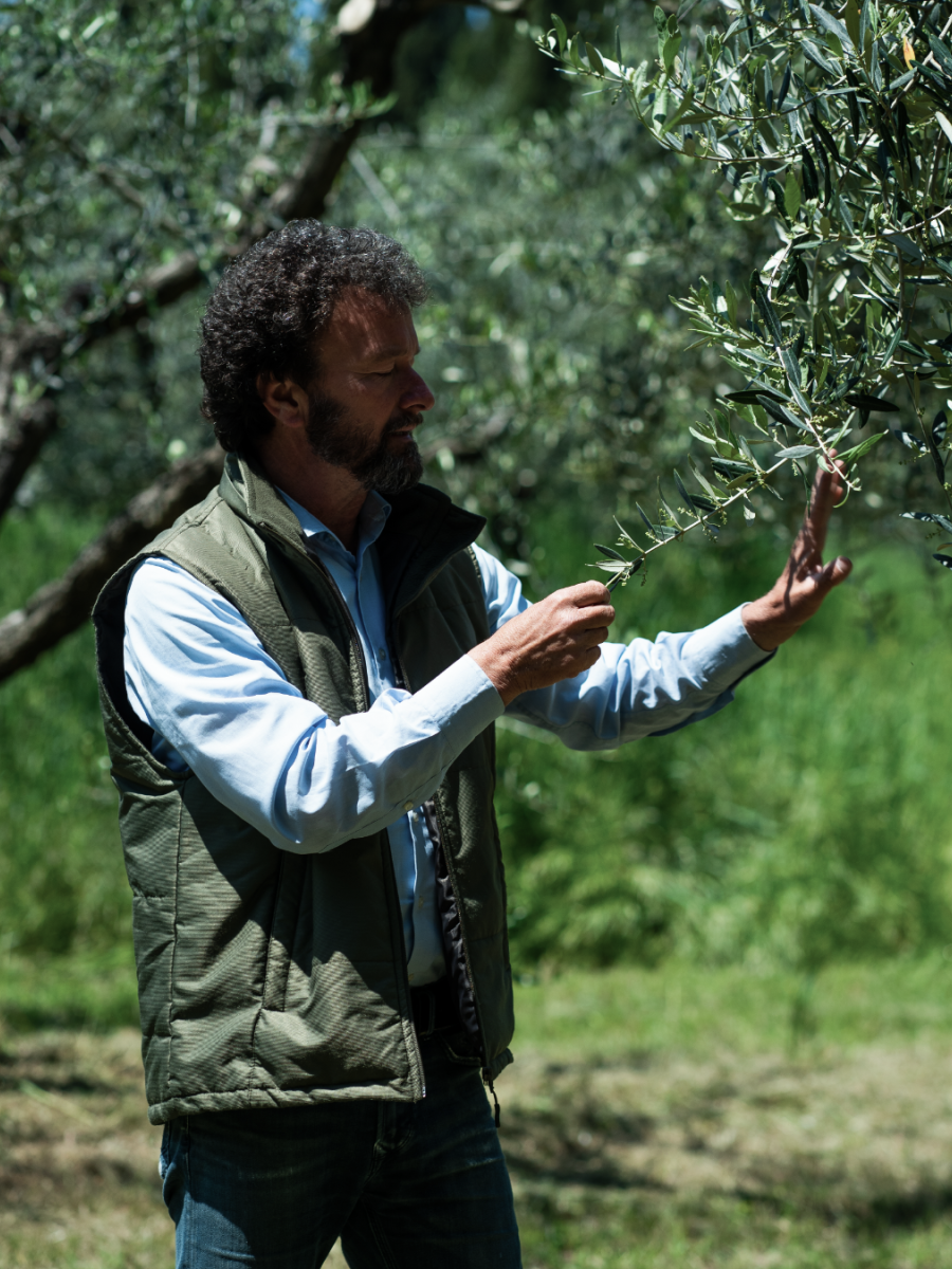 Safeguarding and Preservation: The Heritage of Olive Oil at Tenuta Maryamado