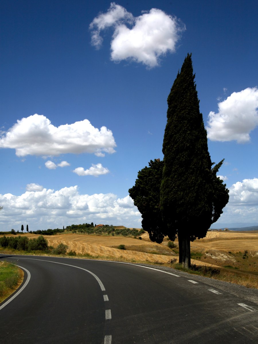 La terra di Tenuta Maryamado: la Via Romea Sanese